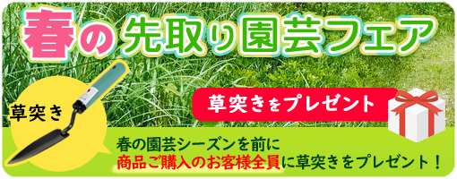 春の先取り園芸フェア